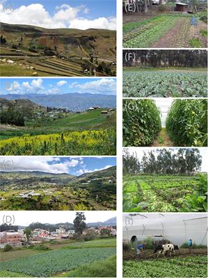 Microbial-Based Technologies for Improving Smallholder Agriculture in the Ecuadorian Andes: Current Situation, Challenges, and Prospects